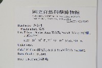 落葵藏品圖，第2張