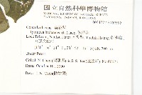 碗仔花藏品圖，第2張