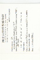 馬交兒藏品圖，第2張