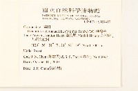 飛機草藏品圖，第2張