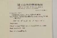 地膽草、毛蓮菜藏品圖，第2張