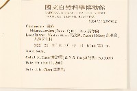 蔓澤蘭藏品圖，第2張