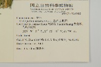 臭杏、土荊芥藏品圖，第2張