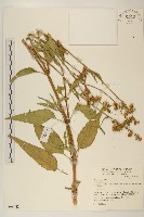 登錄號:S069442藏品圖，第1張