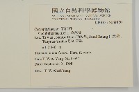 狗筋蔓藏品圖，第2張