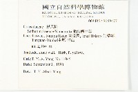 能高佛甲草藏品圖，第2張