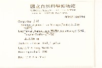 一枝黃花藏品圖，第2張