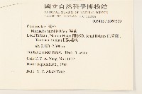 矮菊藏品圖，第2張