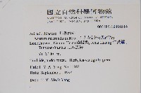 大花細辛、馬蹄香藏品圖，第2張