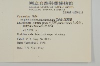 玉山抱莖籟簫藏品圖，第2張
