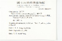 紅子佛甲草藏品圖，第5張