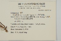 玉山抱莖籟簫藏品圖，第2張