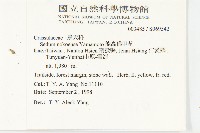能高佛甲草藏品圖，第2張