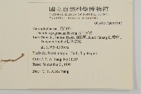 玉山石竹藏品圖，第2張