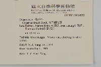 南華南蛇藤，青江藤藏品圖，第2張