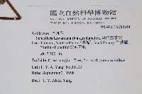 臺灣鵝掌柴藏品圖，第5張