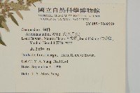 中南蒿藏品圖，第2張