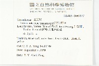 能高佛甲草藏品圖，第2張