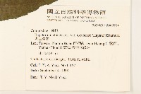 塔山澤蘭藏品圖，第2張