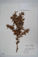 登錄號:S069613藏品圖，第1張