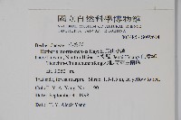 玉山小蘗藏品圖，第2張