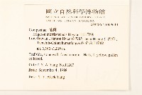 玉山飛蓬藏品圖，第5張