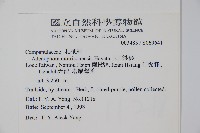 玉山沙參藏品圖，第2張