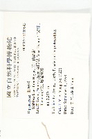 玉山山蘿蔔藏品圖，第2張