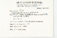 能高佛甲草藏品圖，第2張