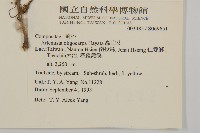 高山艾藏品圖，第2張