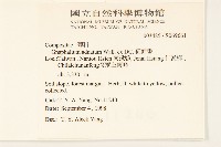 紅面番藏品圖，第5張