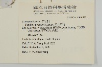 玉山石竹藏品圖，第2張