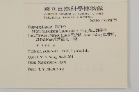 高山蠅子草藏品圖，第2張