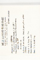 小葉胡頹子藏品圖，第2張