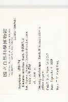 小葉胡頹子藏品圖，第2張