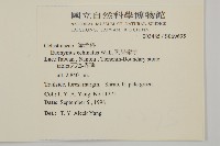 刺果衛矛藏品圖，第2張