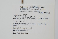 苗栗冬青藏品圖，第2張