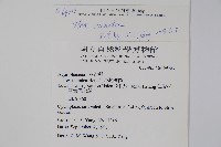 假黃楊藏品圖，第2張