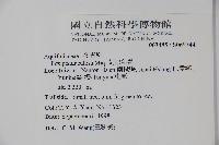 刻脈冬青藏品圖，第2張