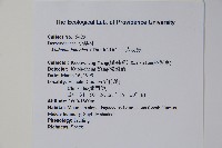 十大功勞藏品圖，第2張