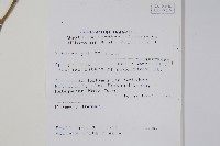 登錄號:S069802藏品圖，第2張