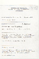 登錄號:S069804藏品圖，第2張