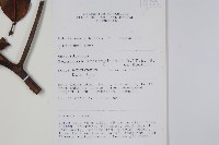 登錄號:S069807藏品圖，第2張