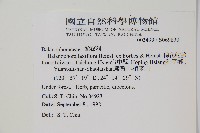 穗花蛇菰藏品圖，第2張