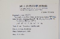 穗花蛇菰藏品圖，第2張