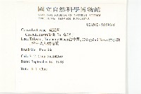 菟絲子藏品圖，第2張