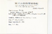 白花牽牛藏品圖，第2張