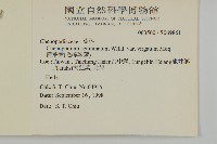 變葉藜、毛綠珠藜藏品圖，第2張