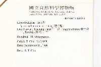 碗仔花藏品圖，第2張