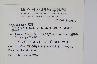 蓮子草藏品圖，第2張